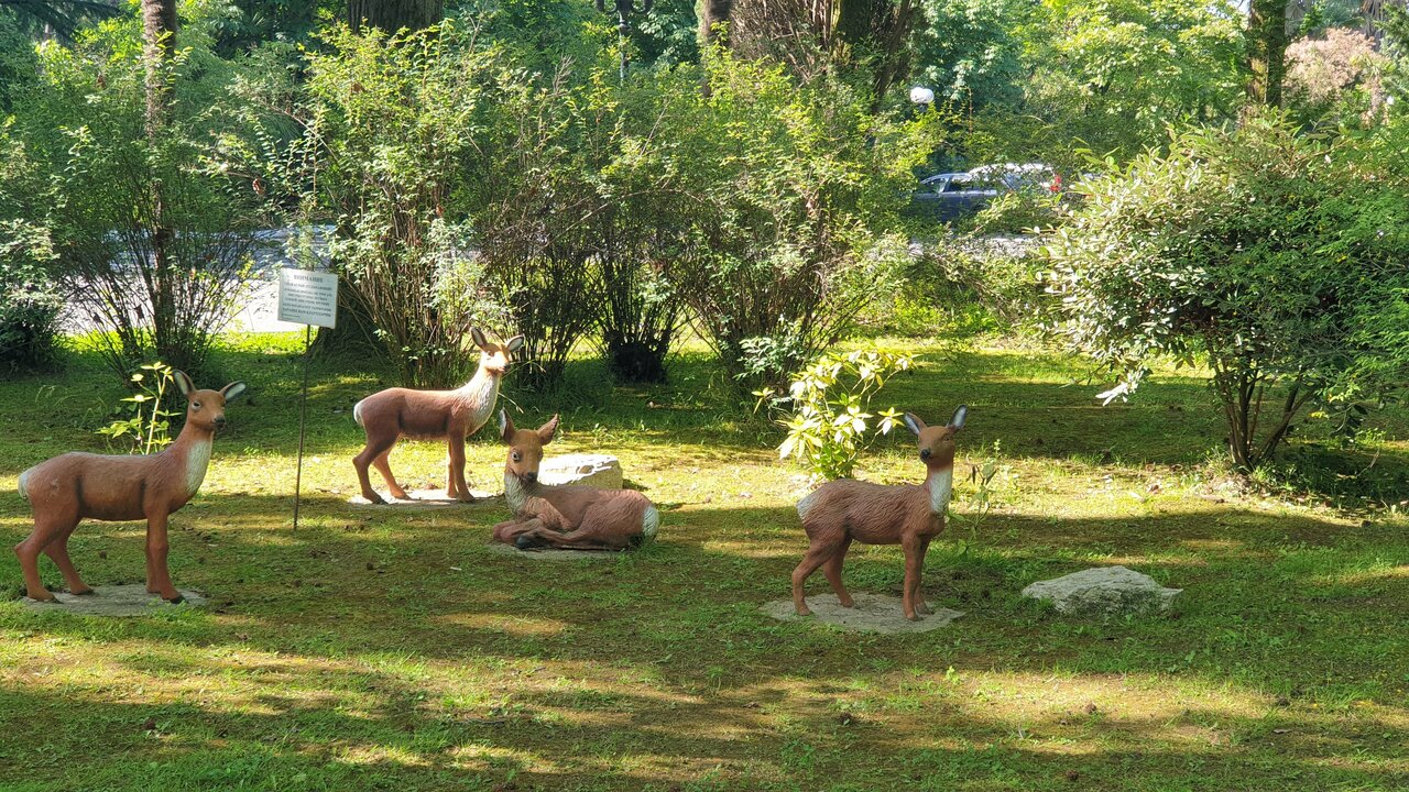 Гостиница Беларусь Сочи-192