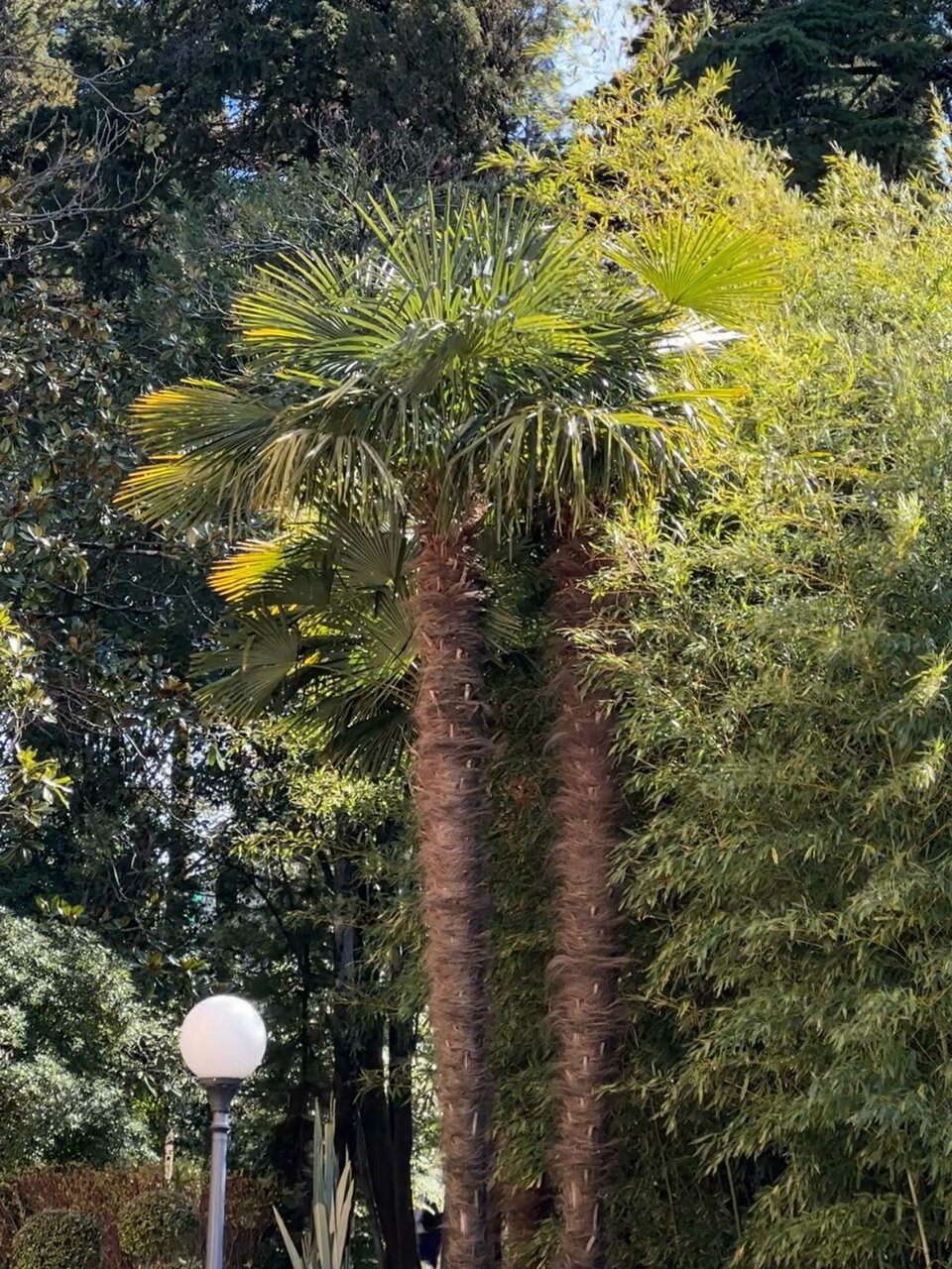 Гостиница Беларусь Сочи-136