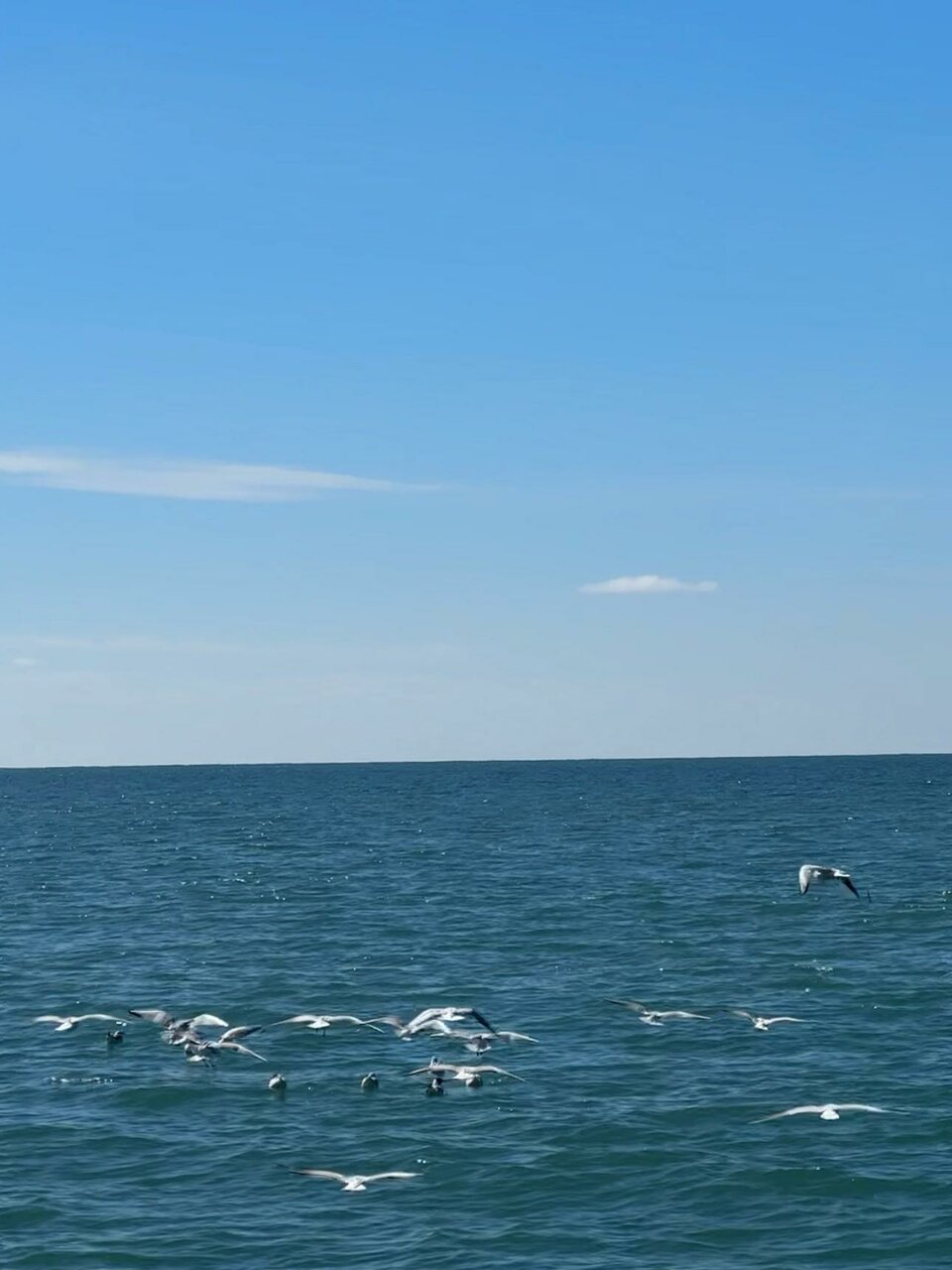 Гостиница Беларусь Сочи-132