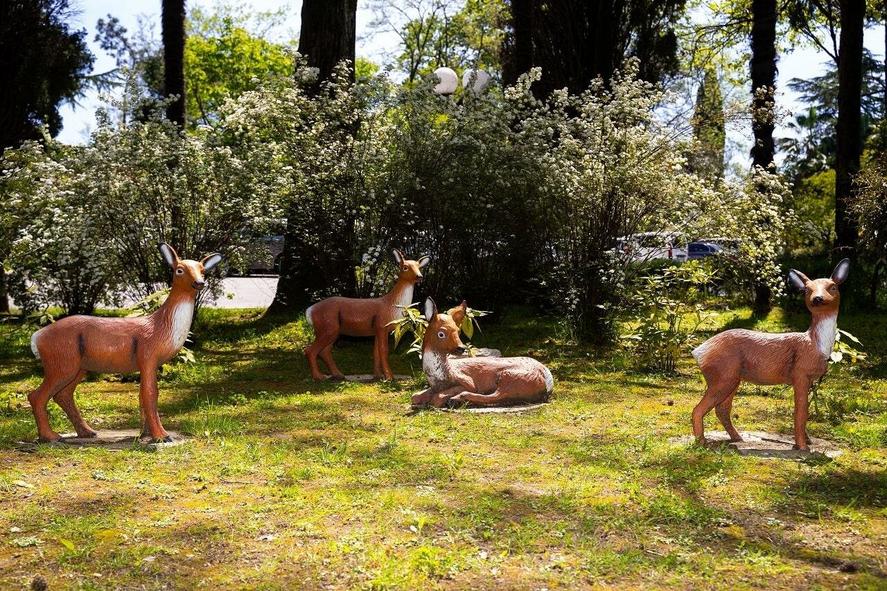 Гостиница Беларусь Сочи-83