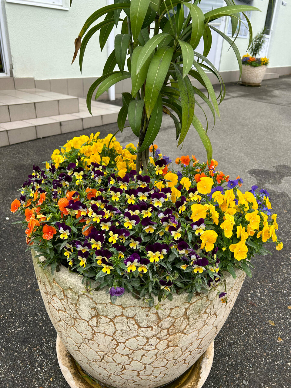 Гостиница Беларусь Сочи-224