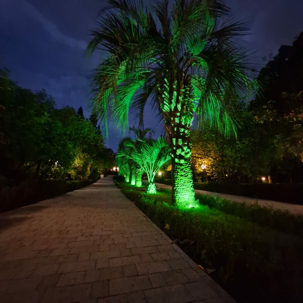 Гостиница Беларусь Сочи-127