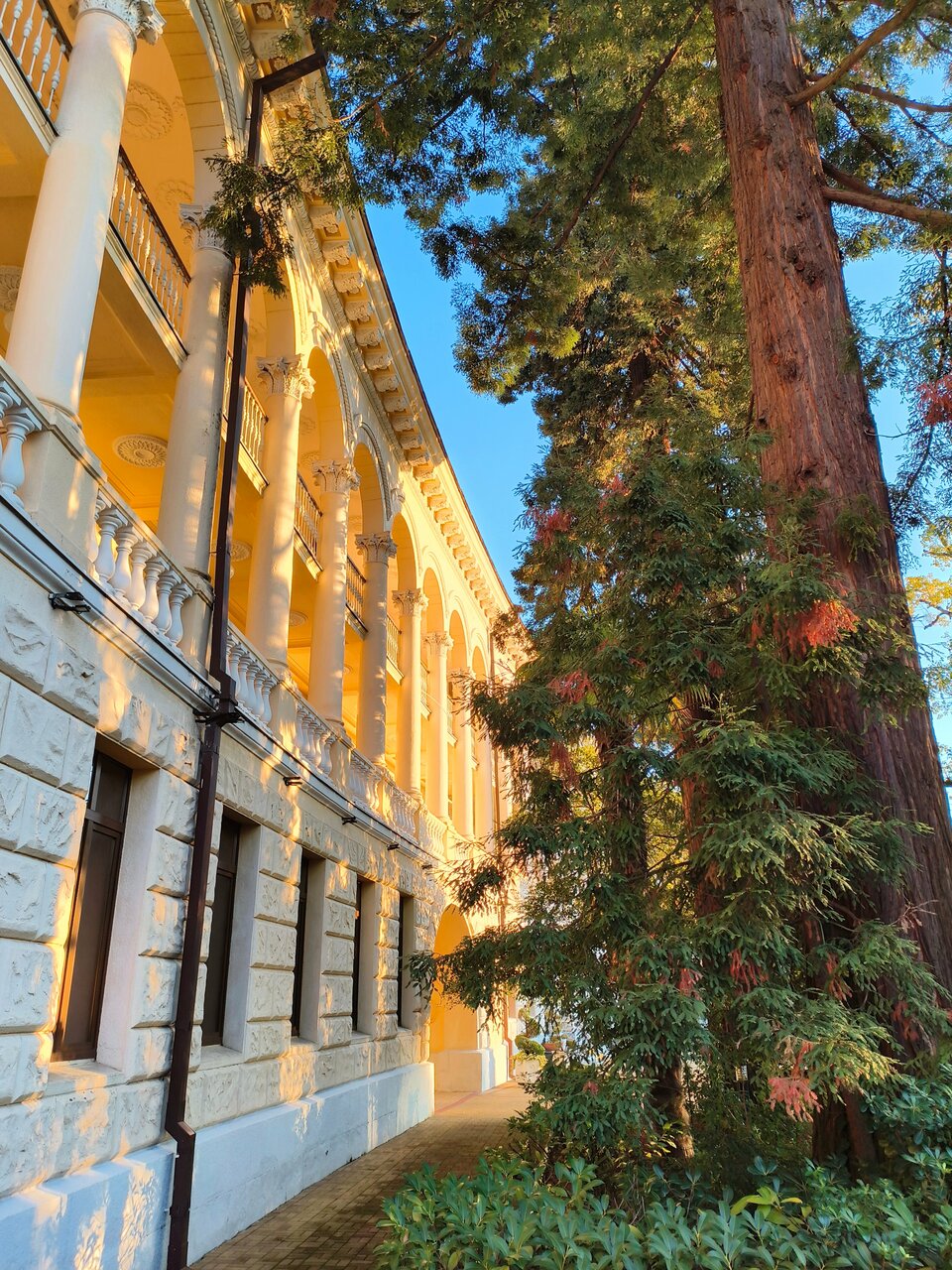 Гостиница Беларусь Сочи-246