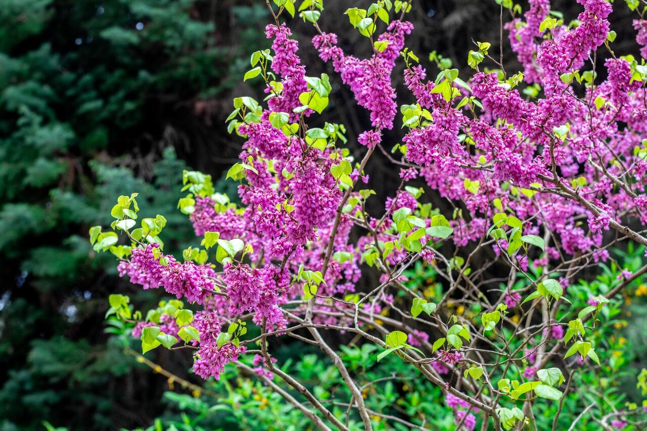 Гостиница Беларусь Сочи-21