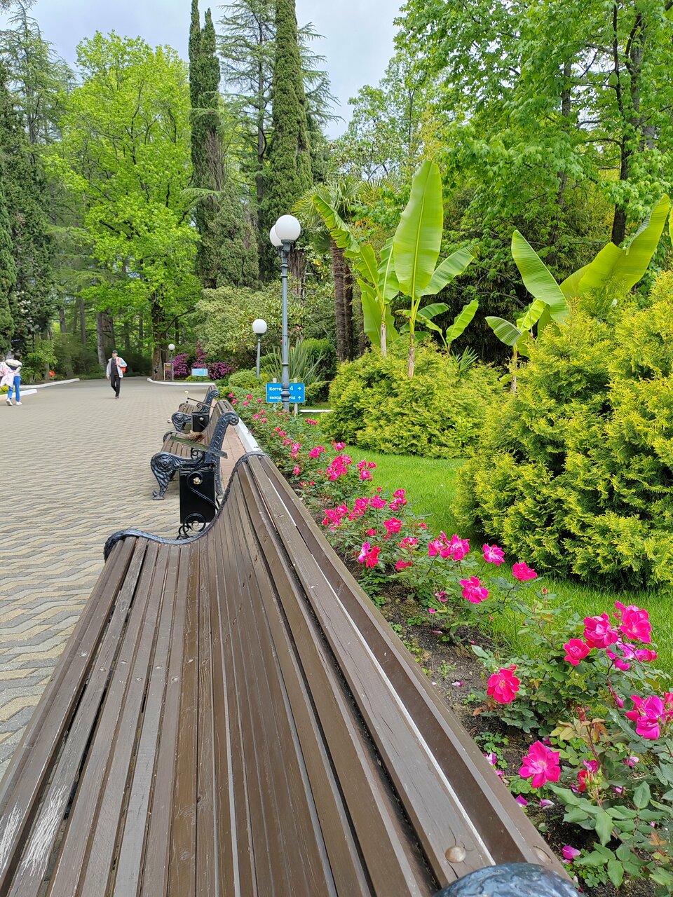 Гостиница Беларусь Сочи-205