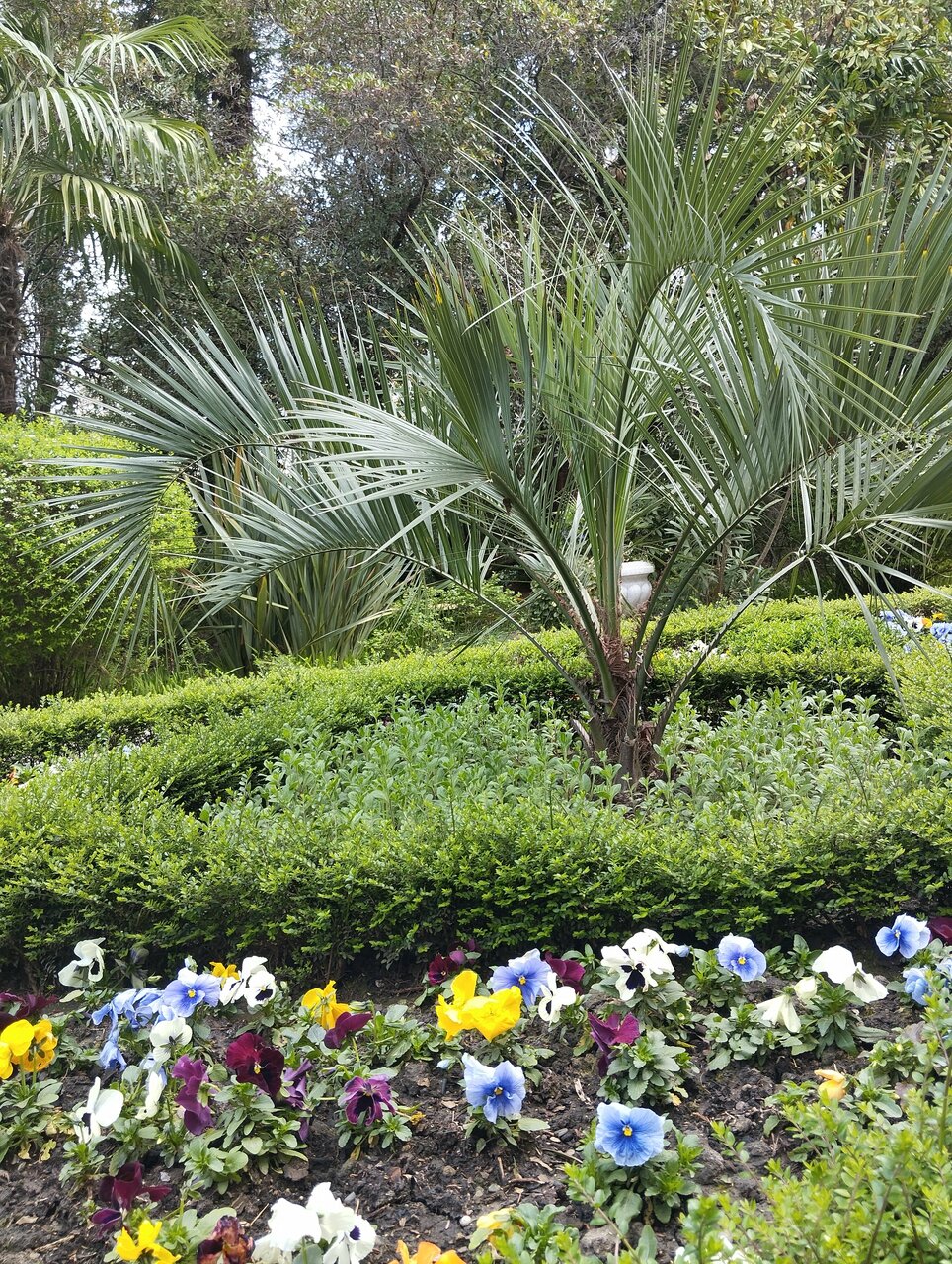 Гостиница Беларусь Сочи-124