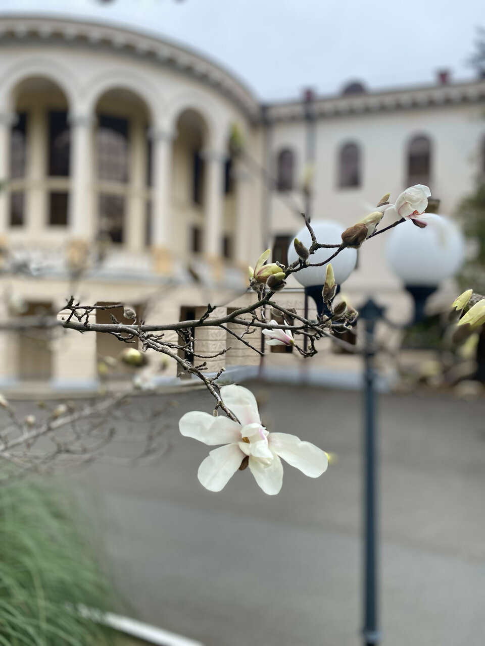 Гостиница Беларусь Сочи-242