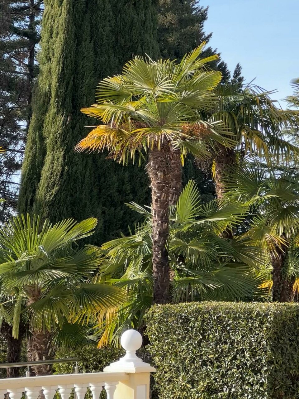 Гостиница Беларусь Сочи-150