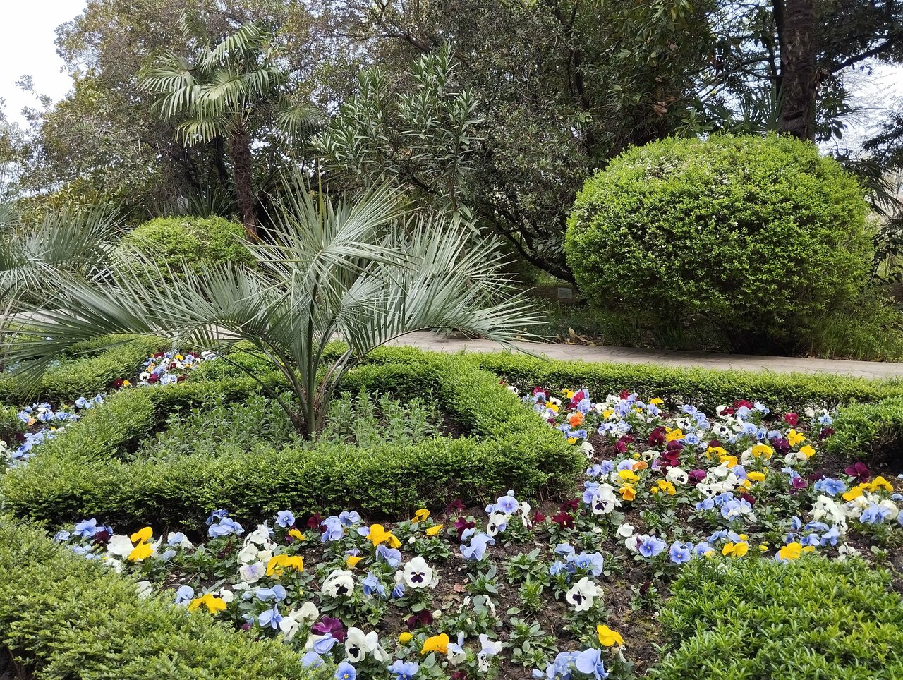 Гостиница Беларусь Сочи-73