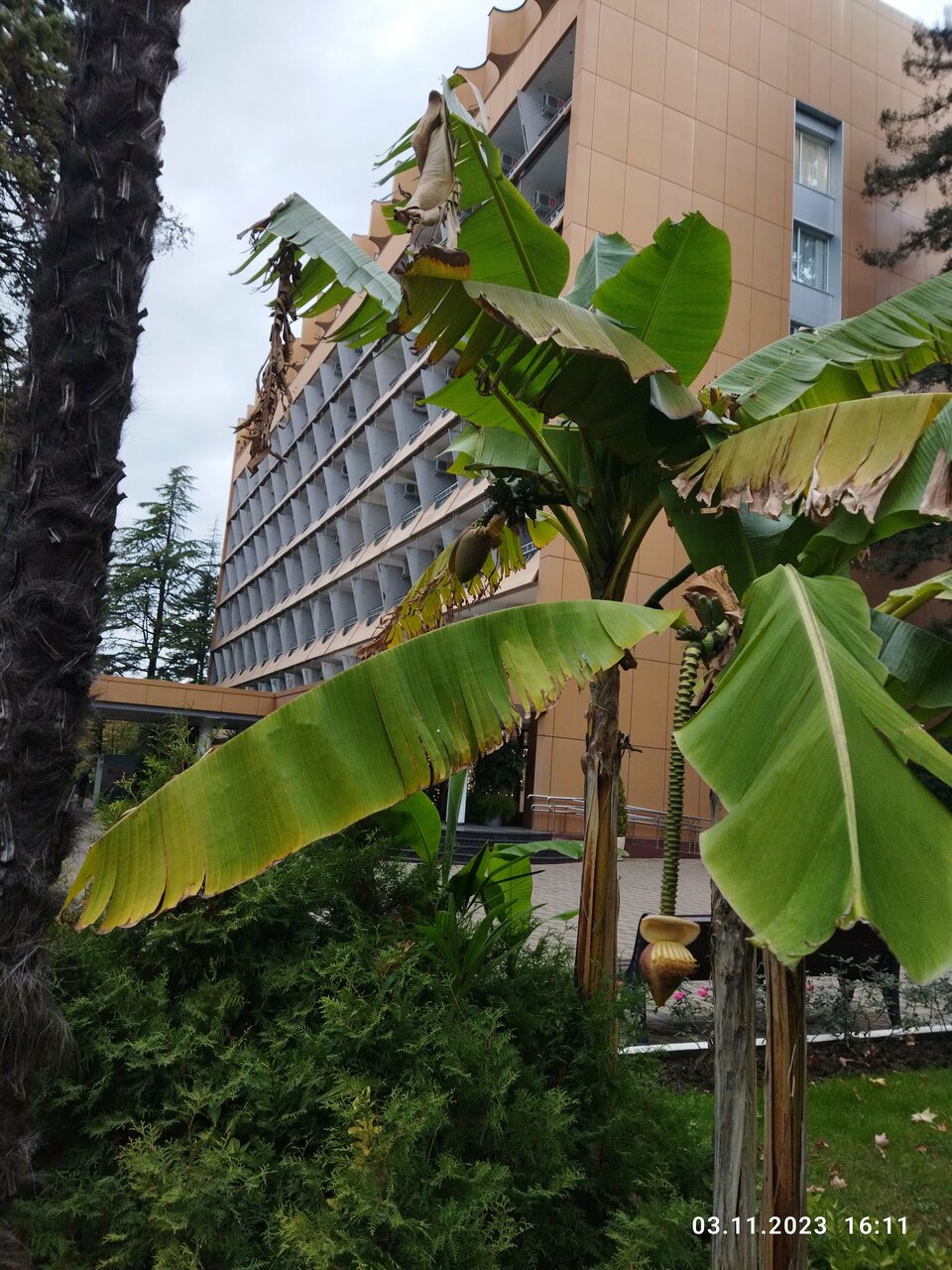 Гостиница Беларусь Сочи-212