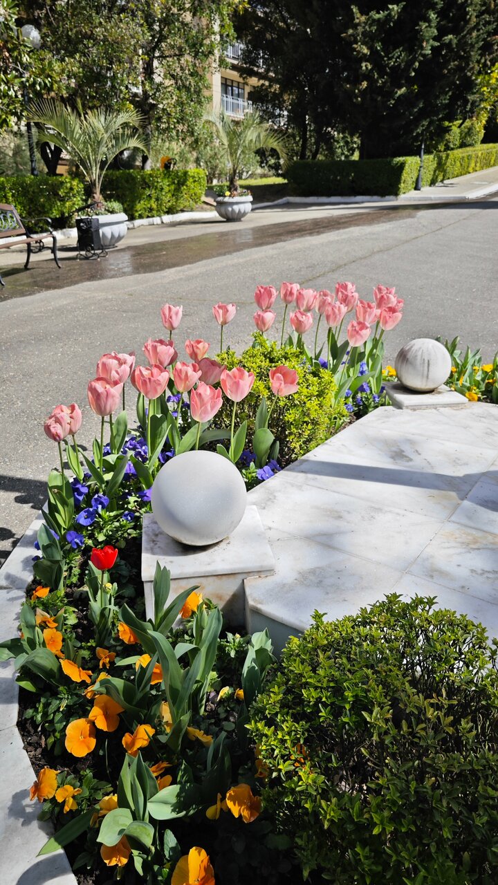 Гостиница Беларусь Сочи-207