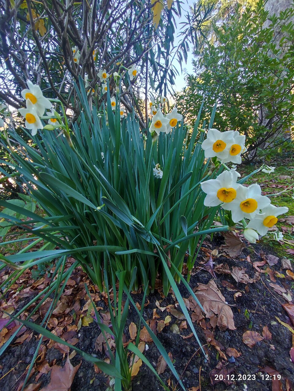 Гостиница Беларусь Сочи-244