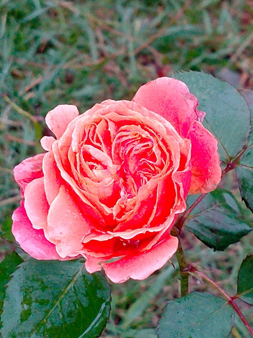 Гостиница Беларусь Сочи-253