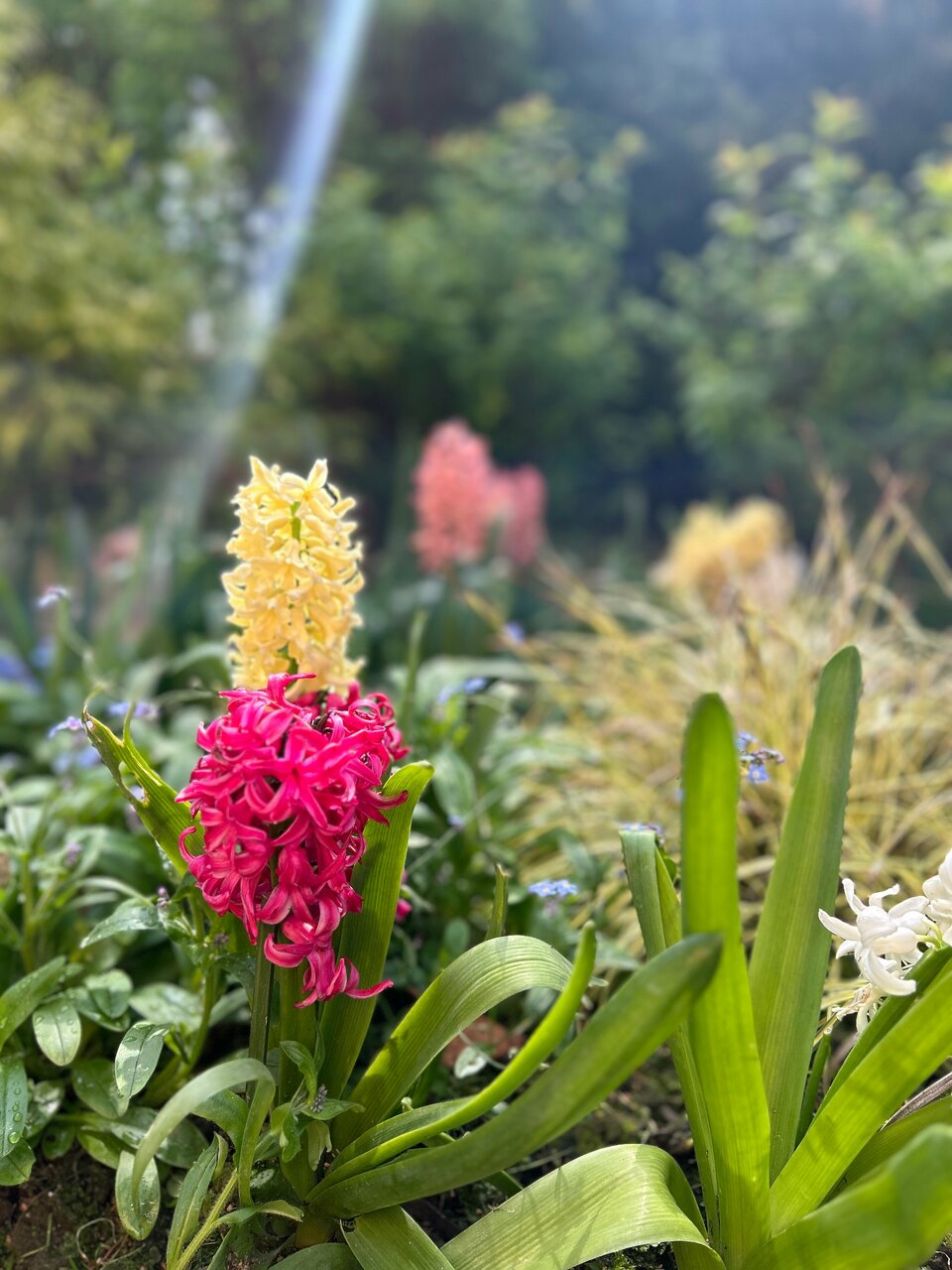 Гостиница Беларусь Сочи-215