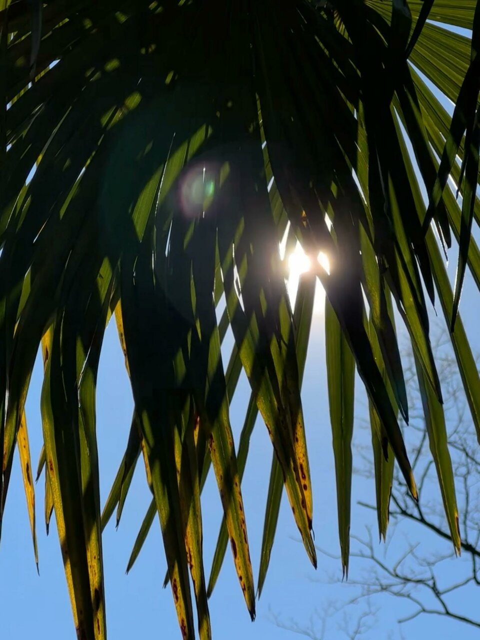 Гостиница Беларусь Сочи-123