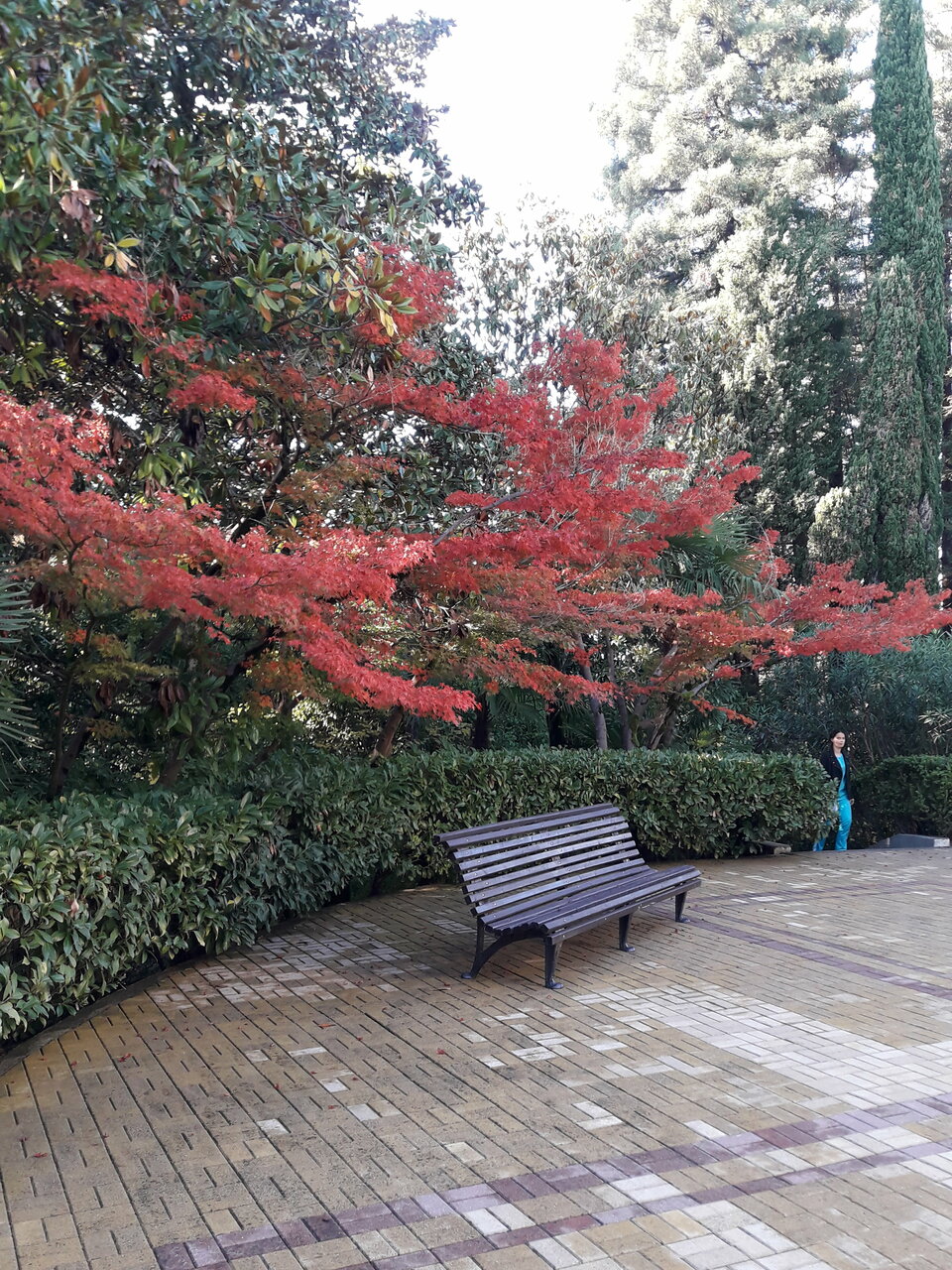 Гостиница Беларусь Сочи-227