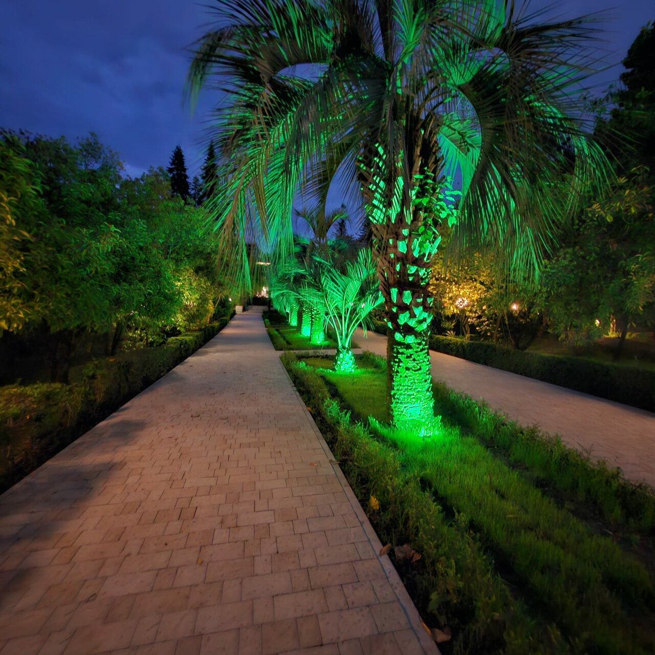 Гостиница Беларусь Сочи-17