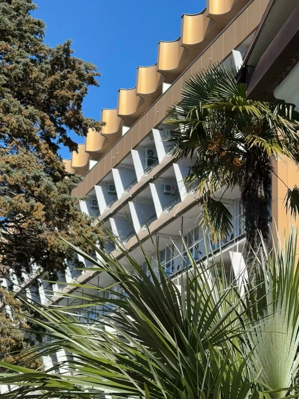 Гостиница Беларусь Сочи-44