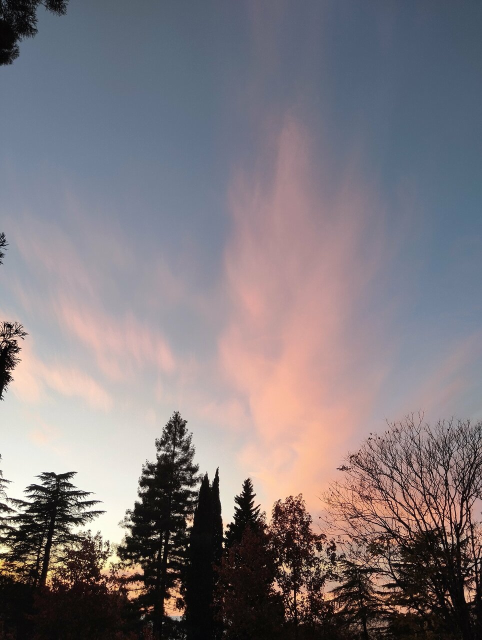 Гостиница Беларусь Сочи-53