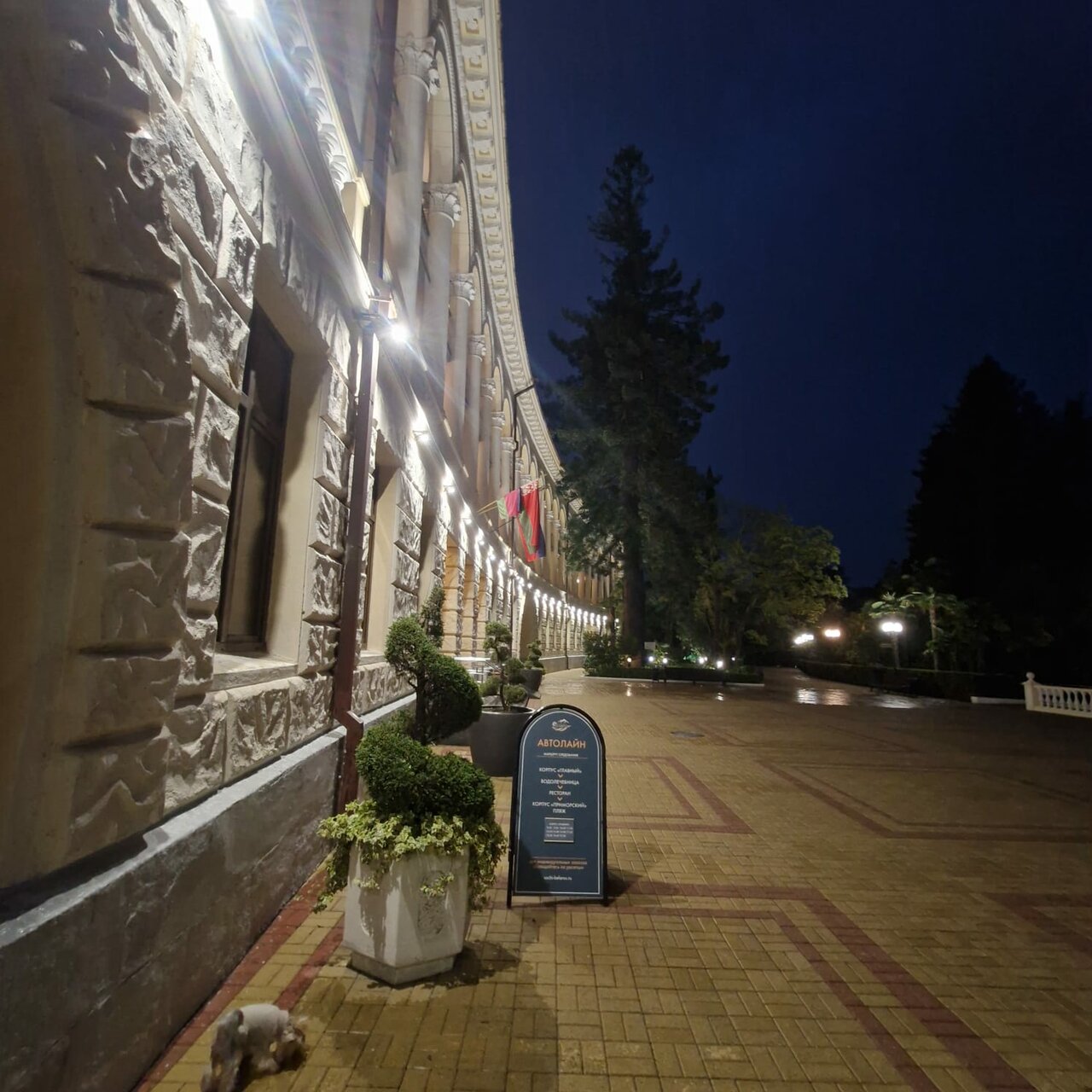 Гостиница Беларусь Сочи-43