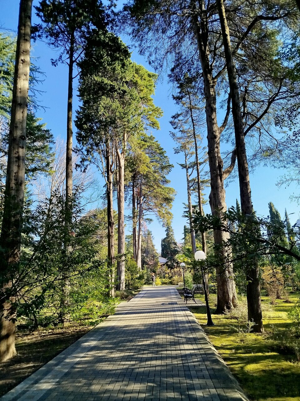 Гостиница Беларусь Сочи-204