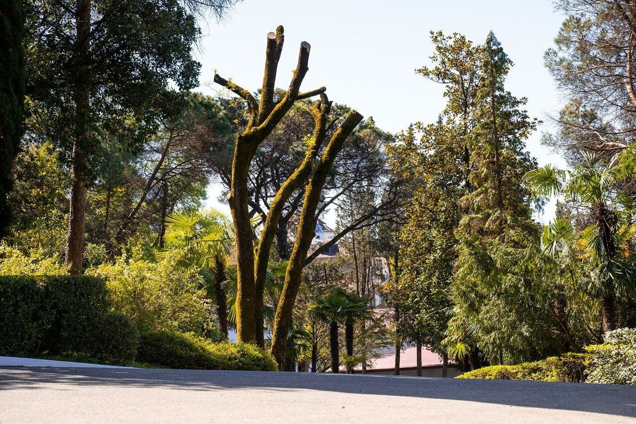 Гостиница Беларусь Сочи-58