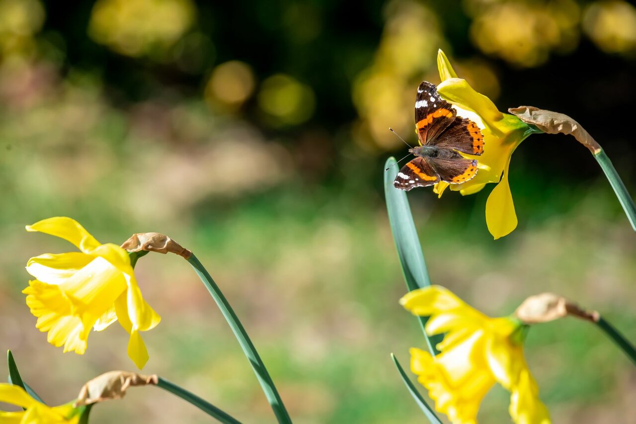 Гостиница Беларусь Сочи-47