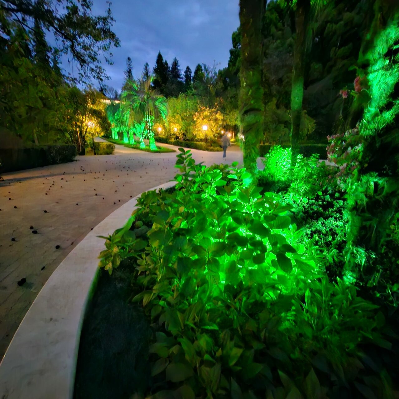 Гостиница Беларусь Сочи-54