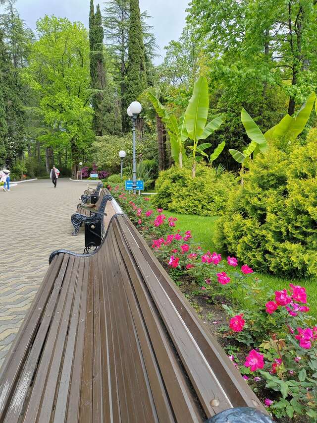 Гостиница Беларусь Сочи-204